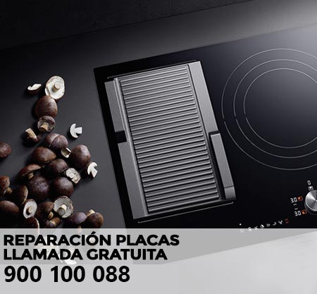 Reparación averías placa de cocción Fagor